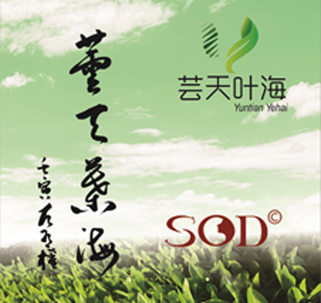 公司簡(jiǎn)介